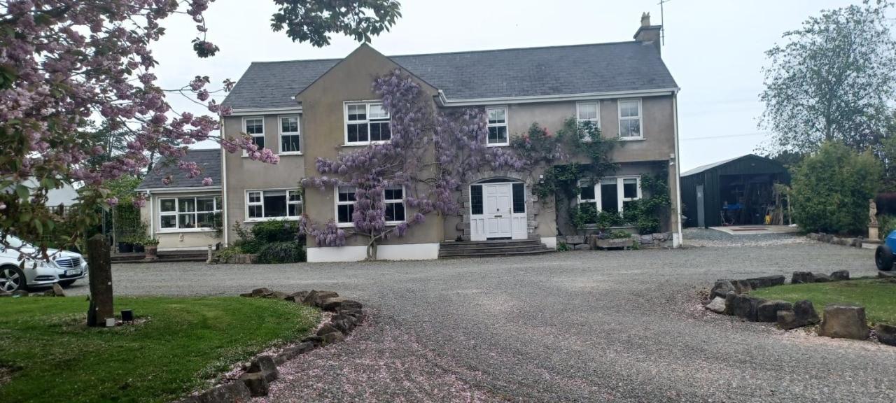 Buvinda Apartment Drogheda Exterior photo